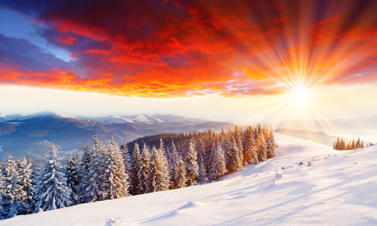 мороз, солнце, зима, дерево, зимние пейзажи, природа, свет, деревья, вьюга, утро, снегопад, холод, лучи, снег