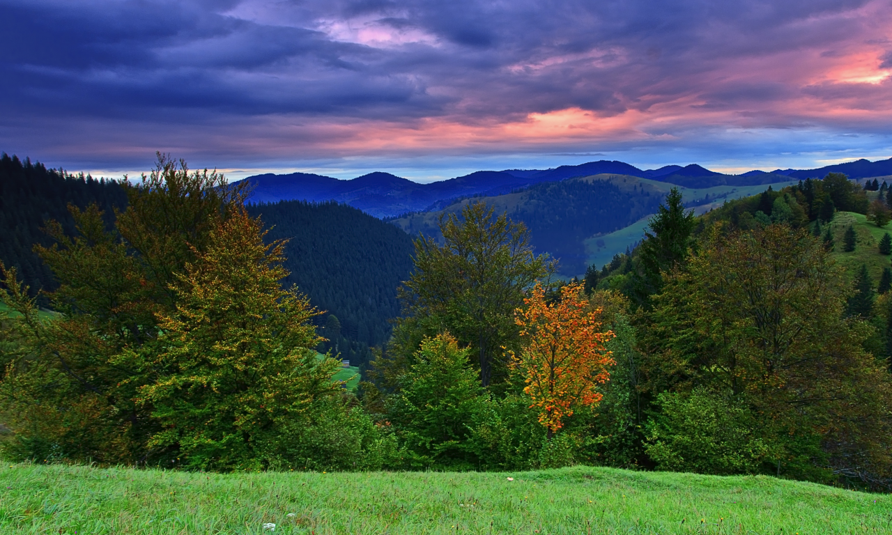 природа, закат, autumn hill, лес, холмы, пейзажи, осень