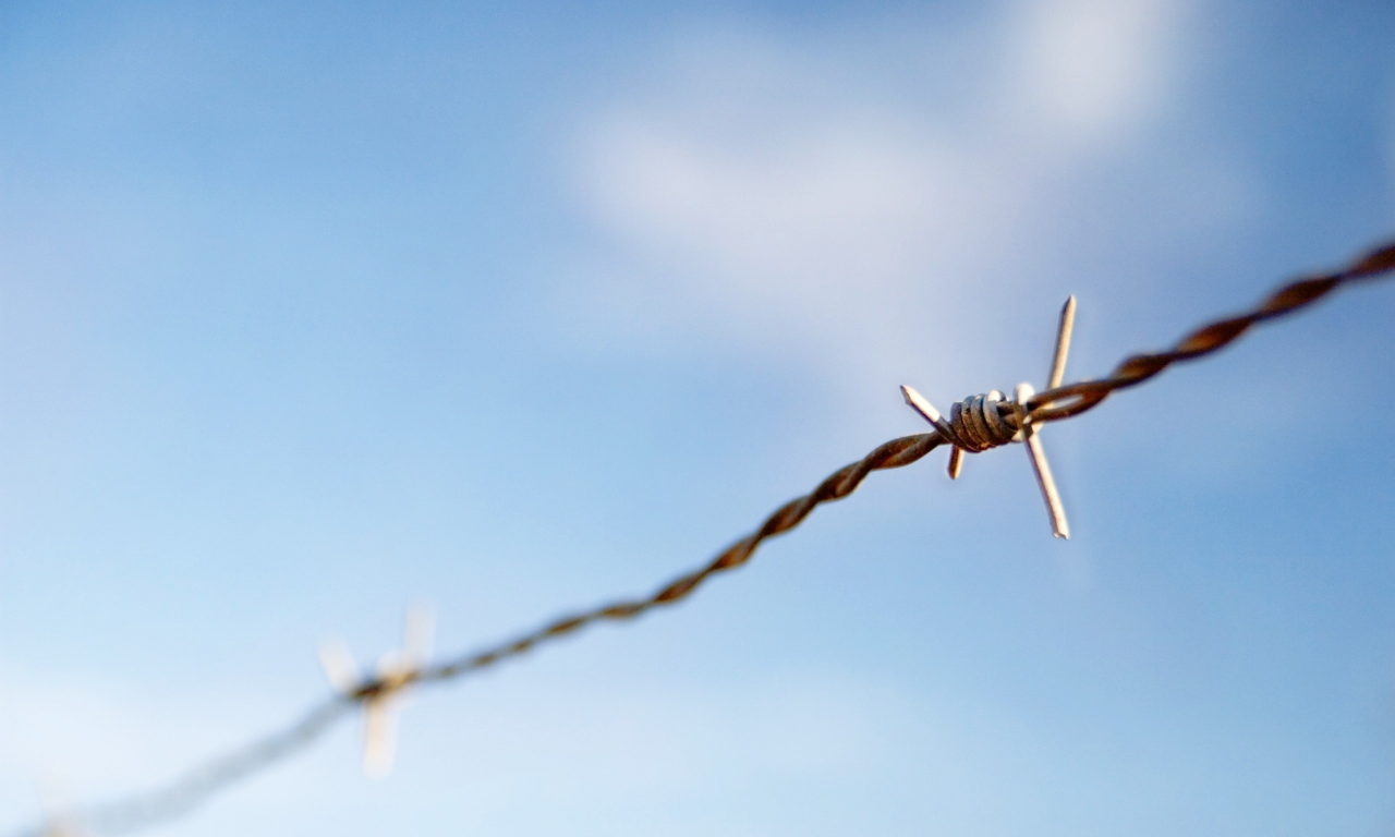 sky, focus, 2560x1600, macro, фокус, небо, колючая проволока, barbed wire, макро