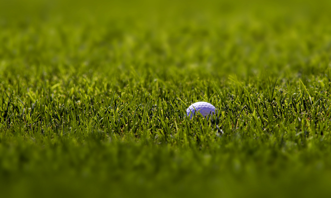гольф, красивые обои, фокус, трава, фоновые картинки, макро, мячи, зелёный, белый, спорт