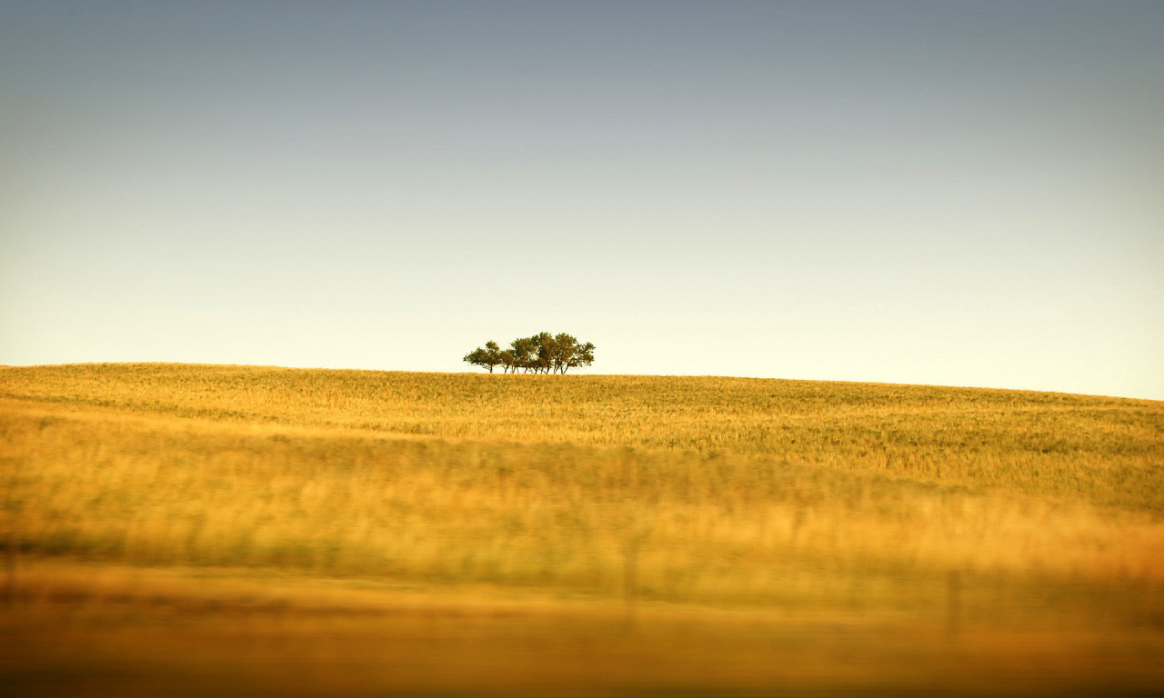 трава, холмы, природа, горизонт, пейзажи, дерево, деревья, поле, tilt-shift, поля, фото