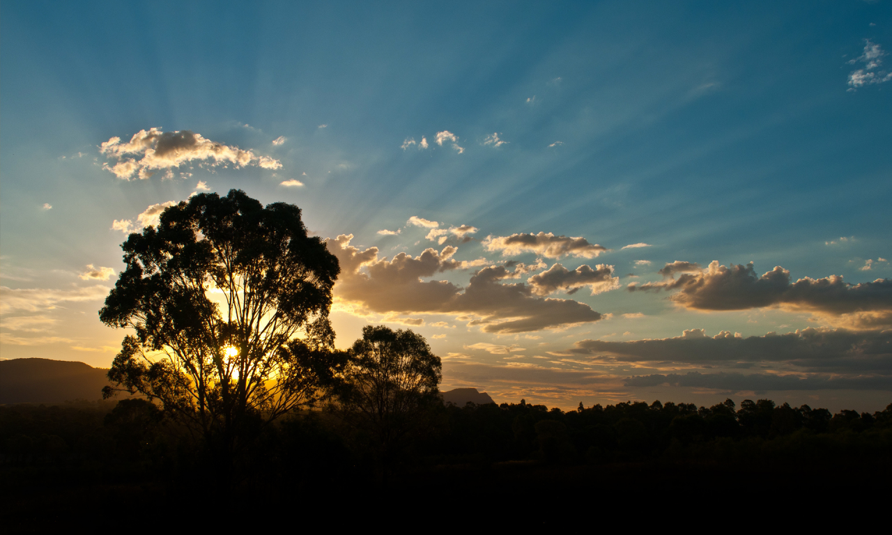 австралия, деревья, деревья, australia, лучи, облака, солнце, лес, лучи солнца, горы, закат, вечер, дерево