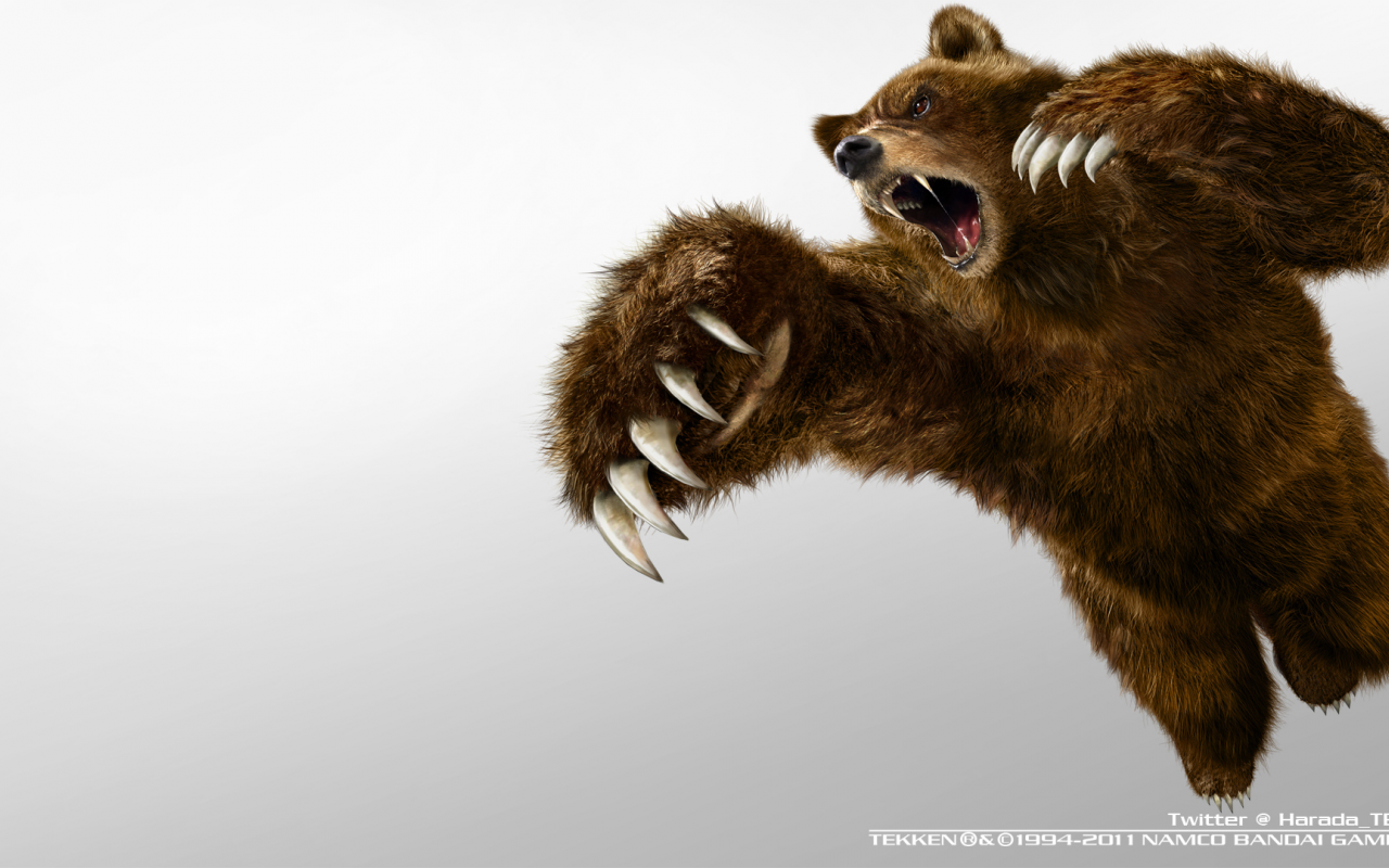 bear, games, tekken