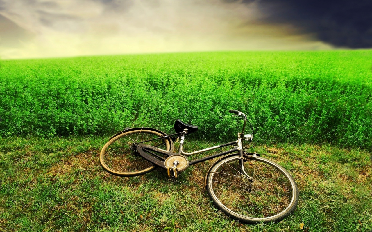 велосипед, горизонт, зелень, трава, тучи, поле, небо