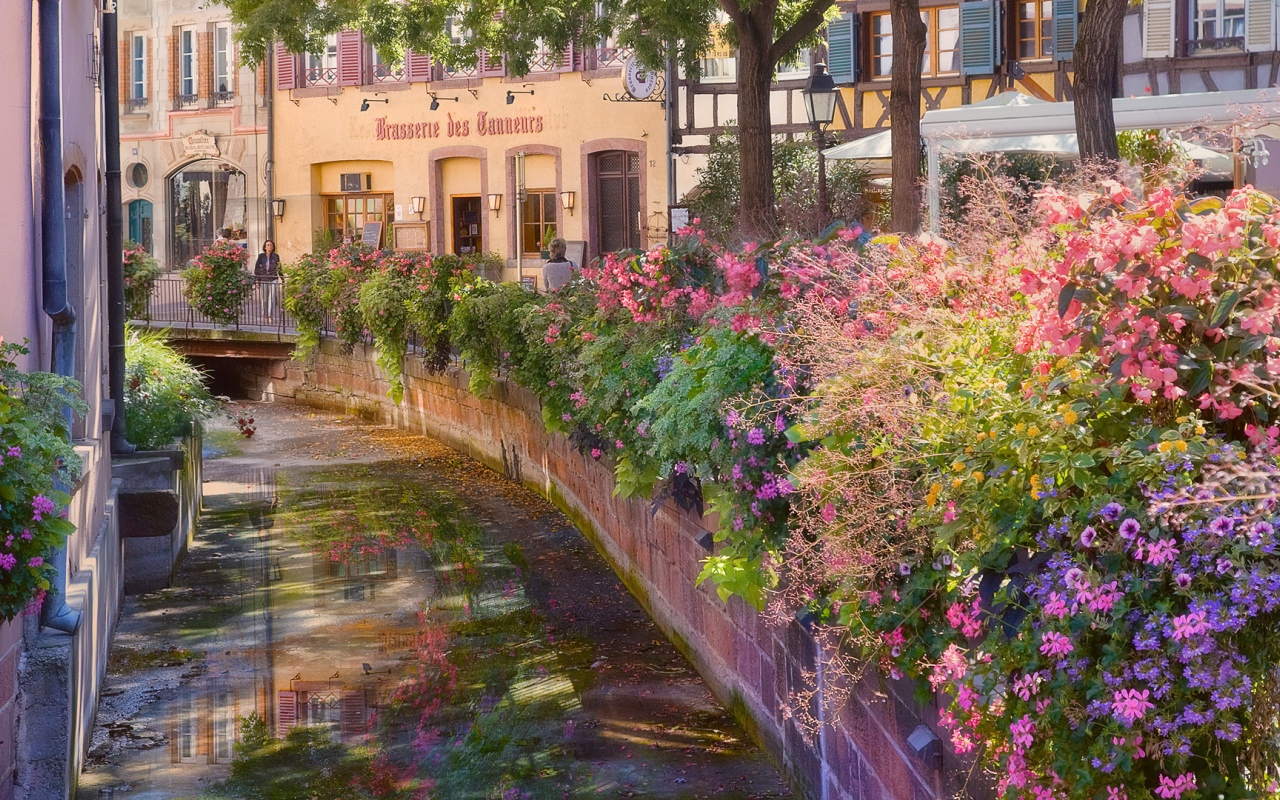 улица, colmar, канал, цветы, alsace, france