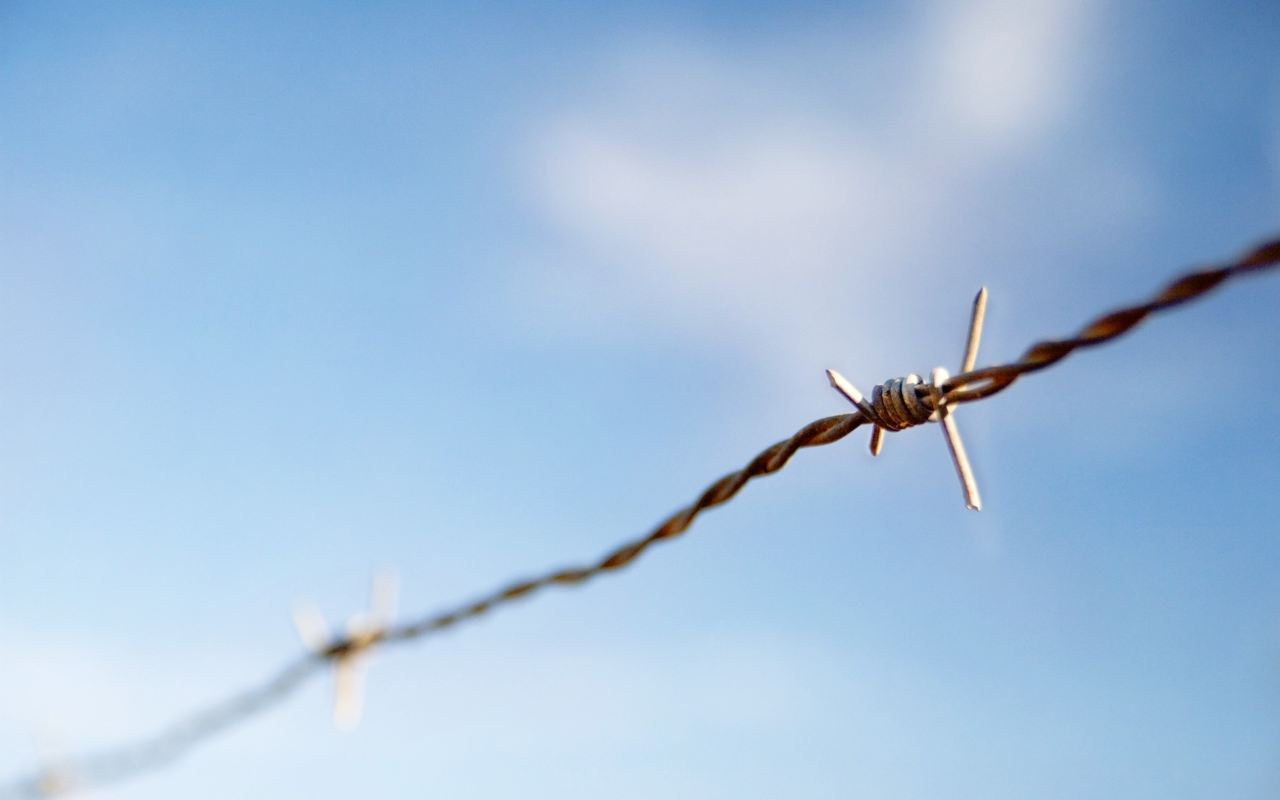 sky, focus, 2560x1600, macro, фокус, небо, колючая проволока, barbed wire, макро