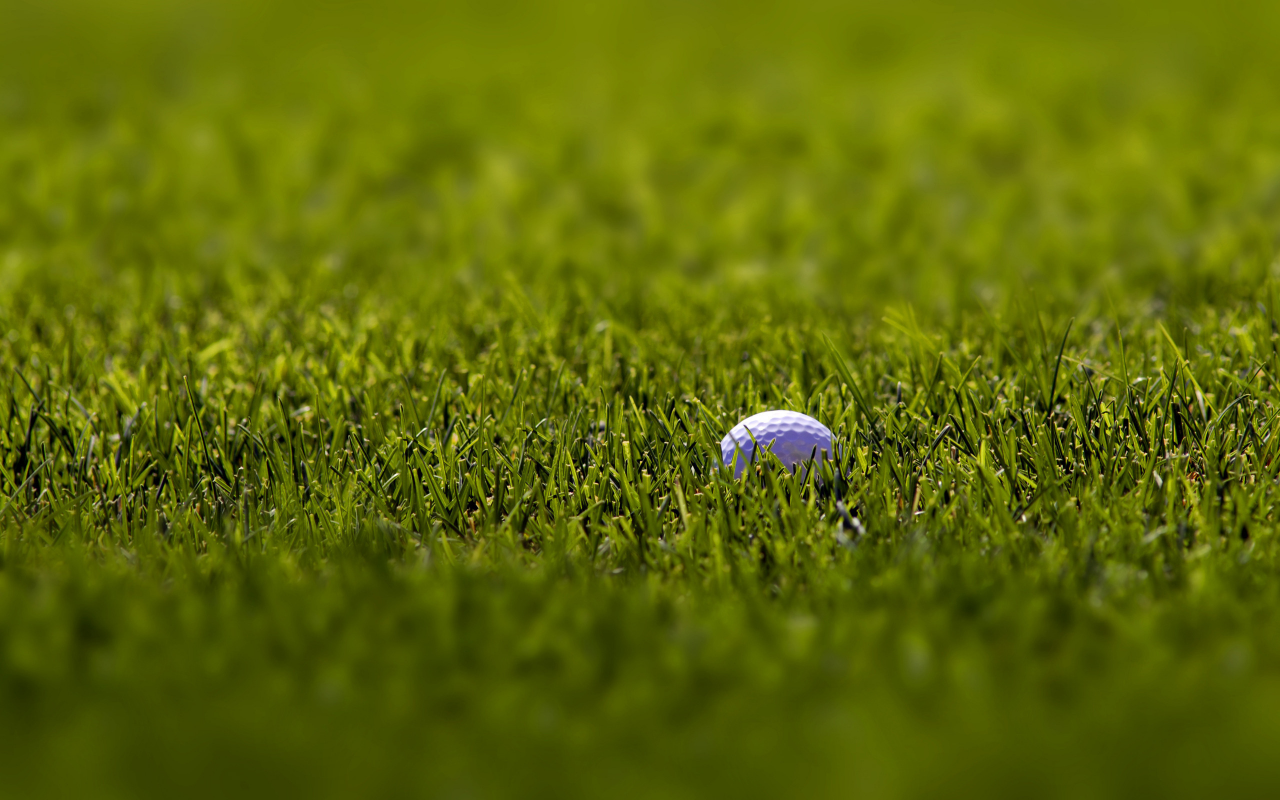 гольф, красивые обои, фокус, трава, фоновые картинки, макро, мячи, зелёный, белый, спорт