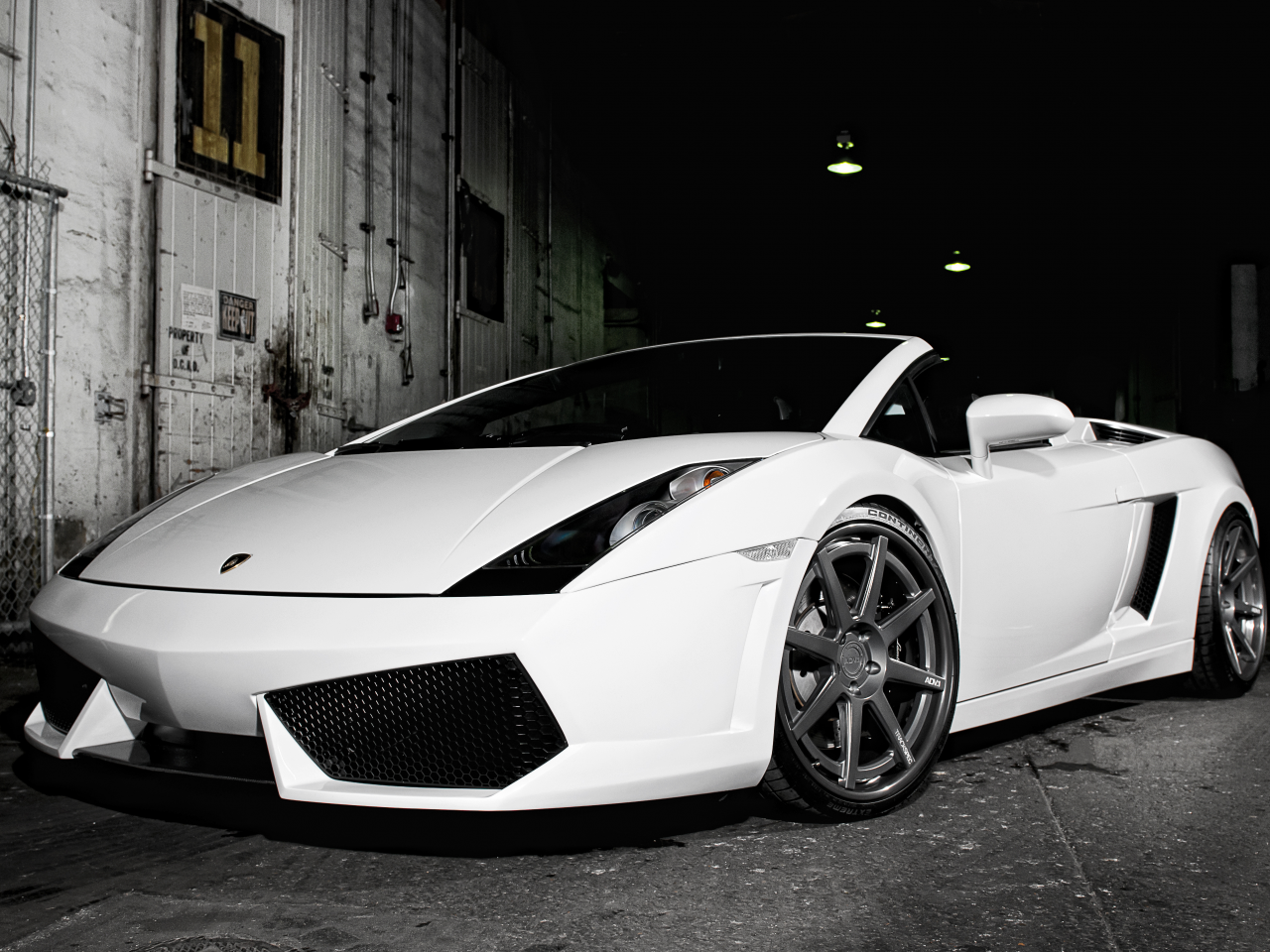 ламборджини, галардо, родстер, gallardo, lamborghini, white, белый