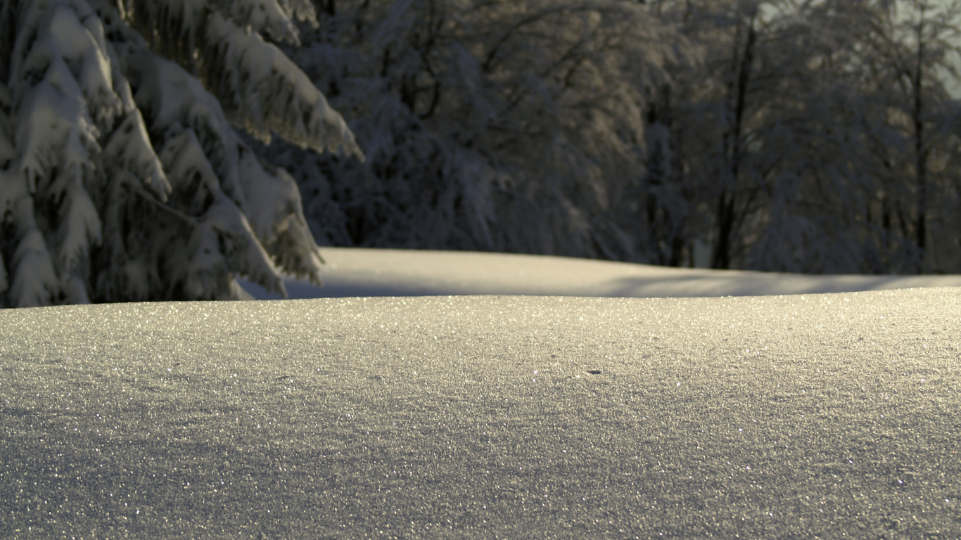 зима, фото, сугробы, снег, бугры, зимние обои, зимы, красивые обои для рабочего стола, утро, деревья, dynax 7d, дерево