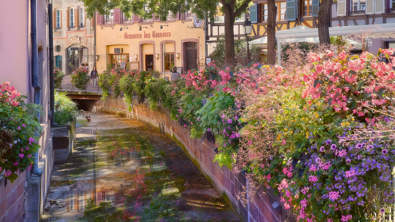 улица, colmar, канал, цветы, alsace, france