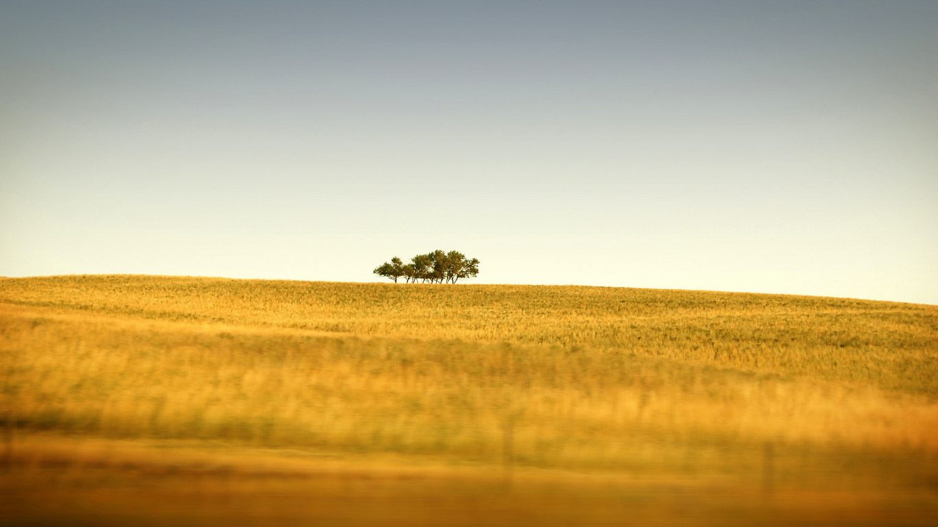 трава, холмы, природа, горизонт, пейзажи, дерево, деревья, поле, tilt-shift, поля, фото