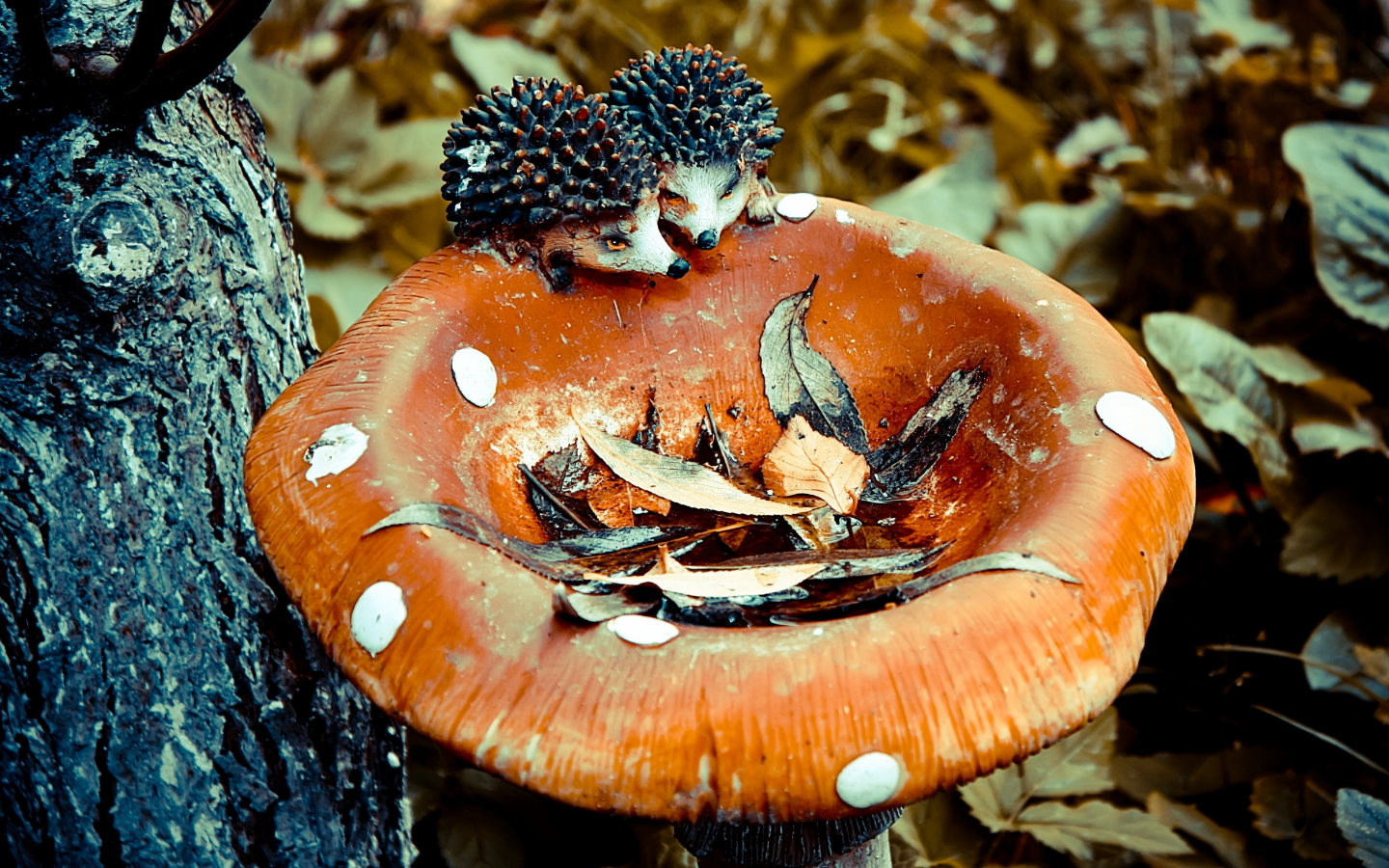 грибы, ежики, осень