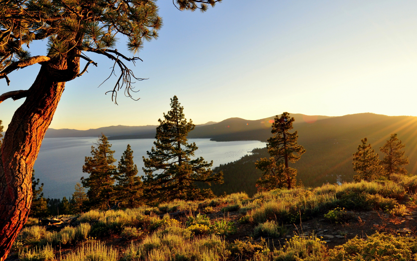 high sierra, природа, калифорния, озеро тахо