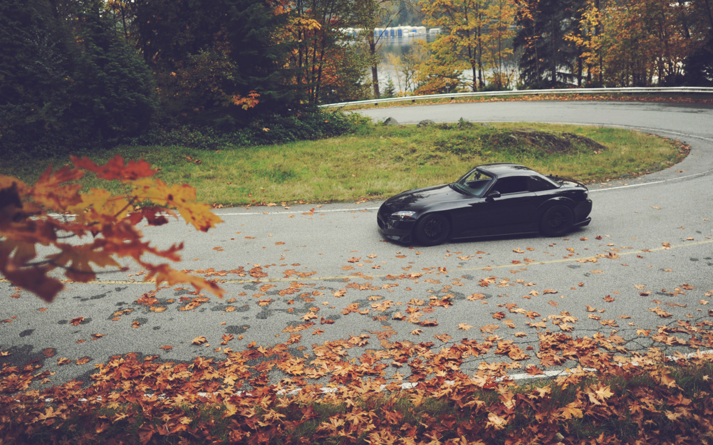 осень, поворот, листья, машина, дорога