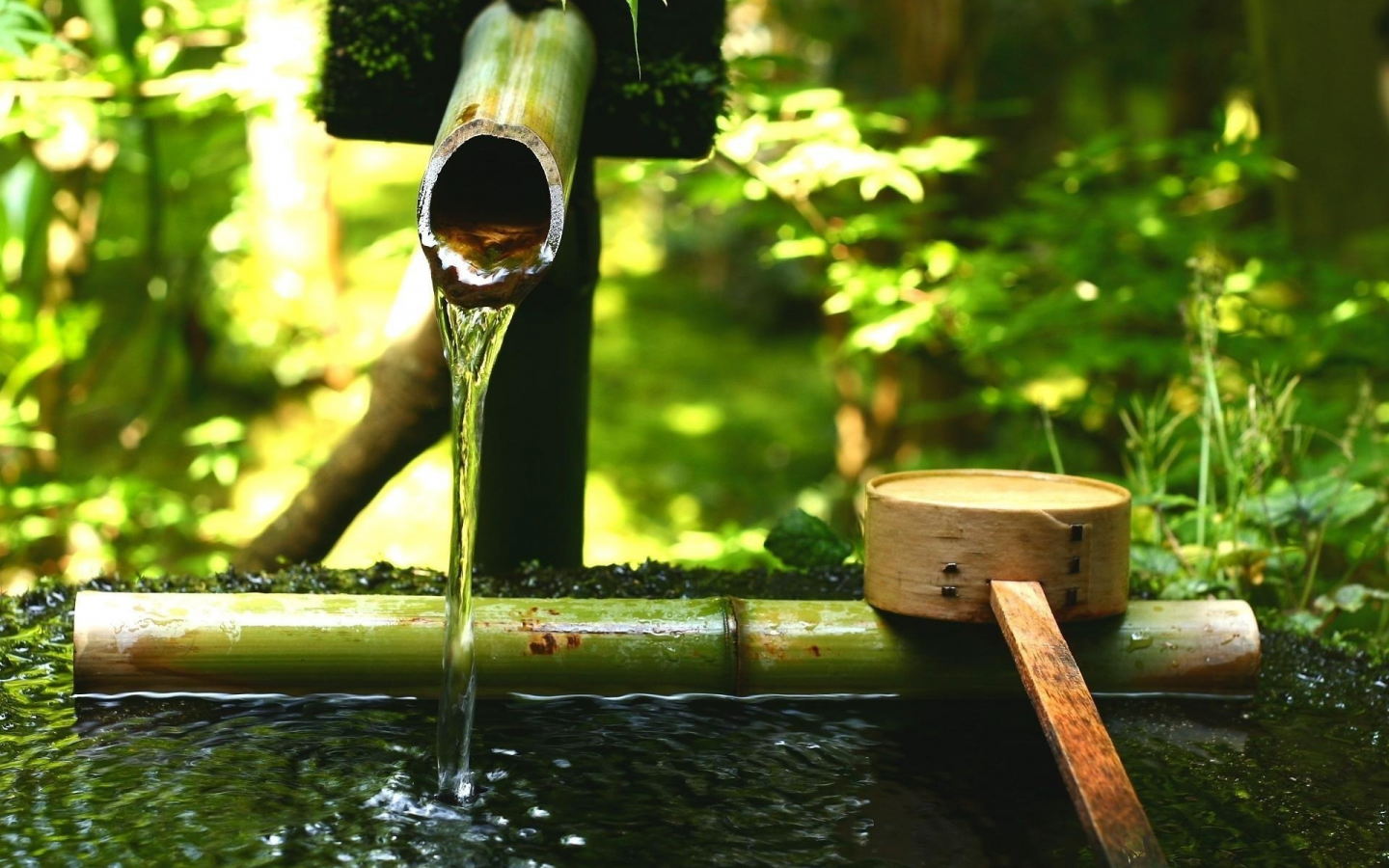 зелень, бамбуковый, ковш, тсукубаи, вода, японский сад, камень