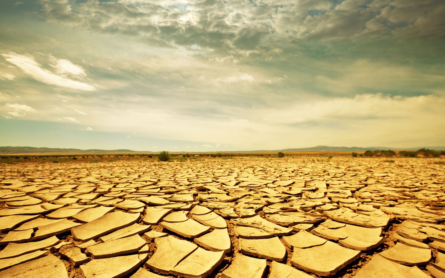 африка, засуха, savanna, песок, landscape, drought, трещины, саванна