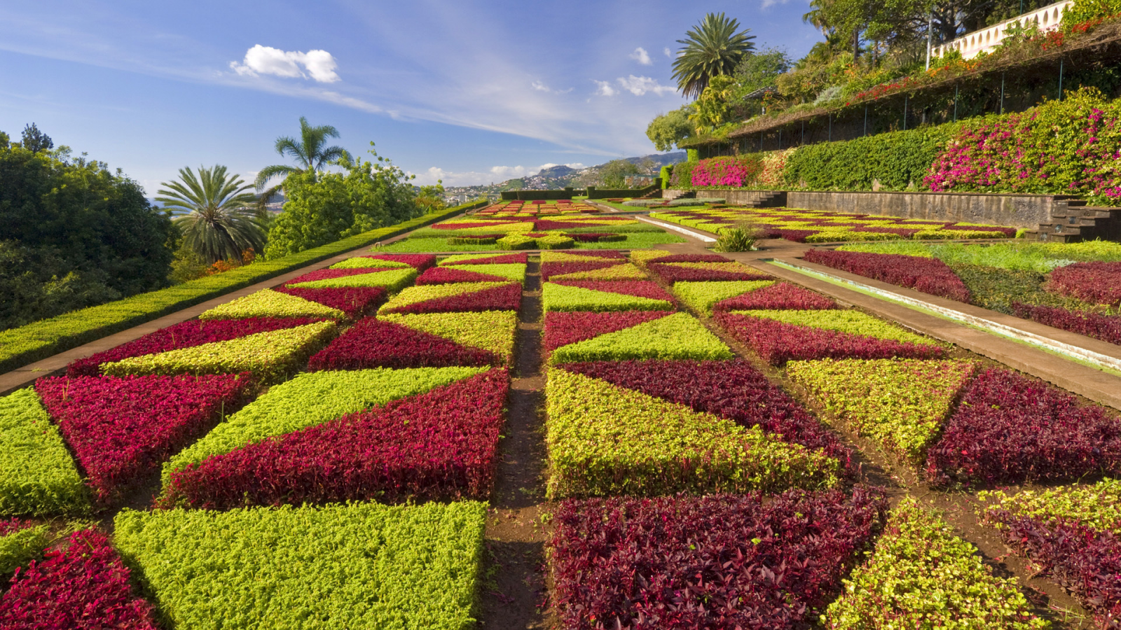 madeira, portugal, formal gardens