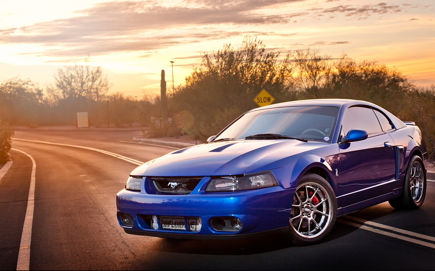 svt, ford, cobra, mustang, terminator