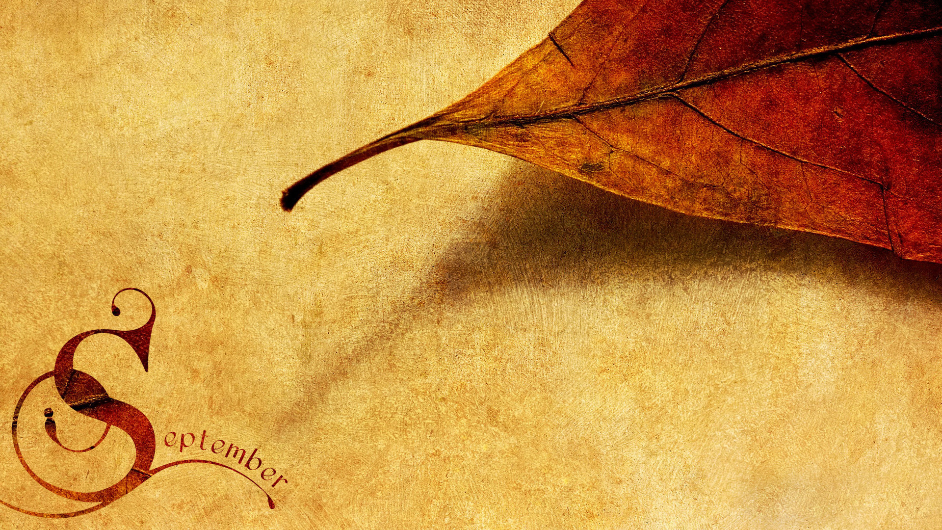 текстура, настроение, сентябрь, месяц, надпись, опавшие листья, осень