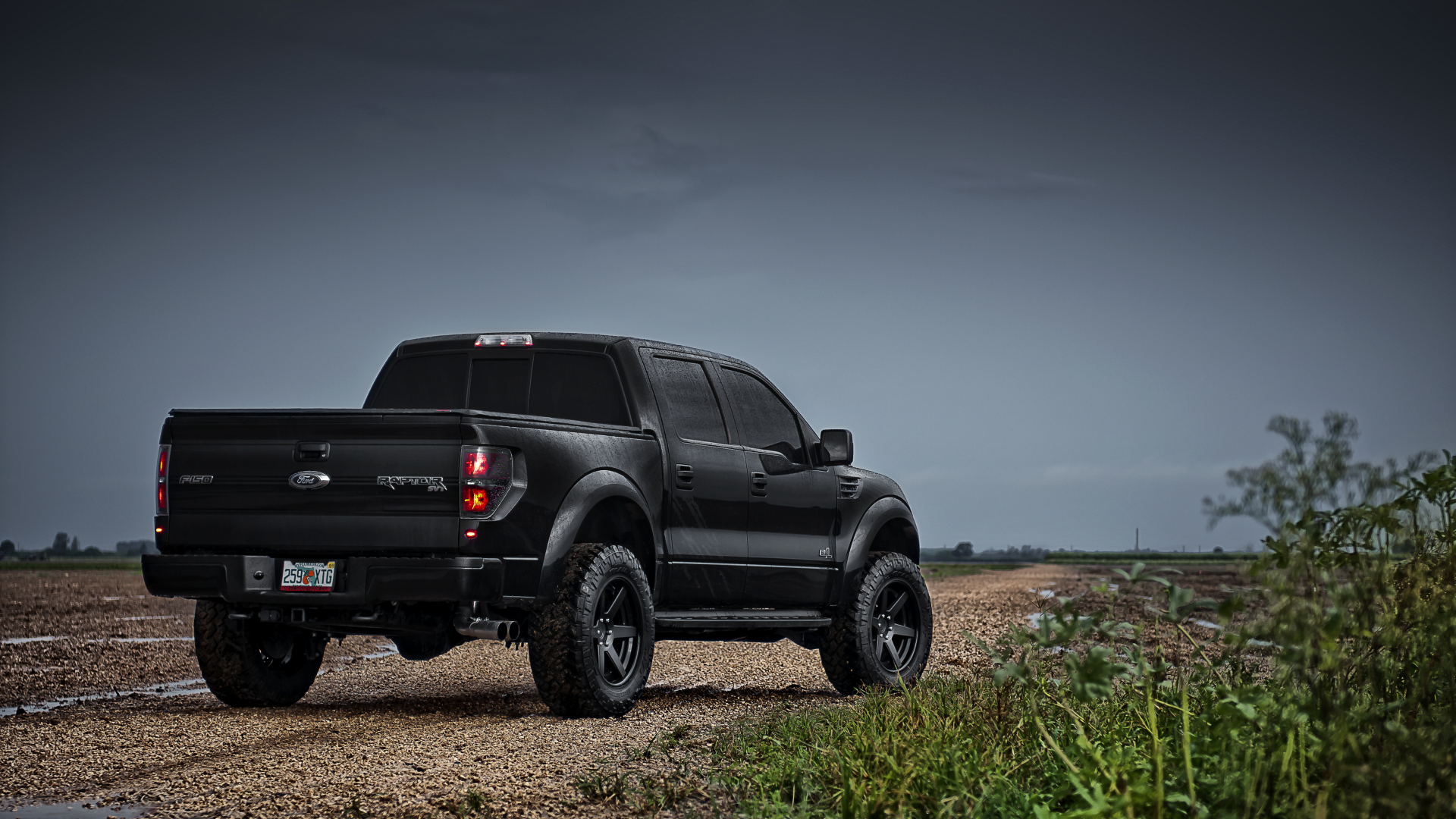 ф-150, auto, свт, раптор, supercrew, форд, raptor, f-150, бездорожье, природа, ford, cars, svt, пикап