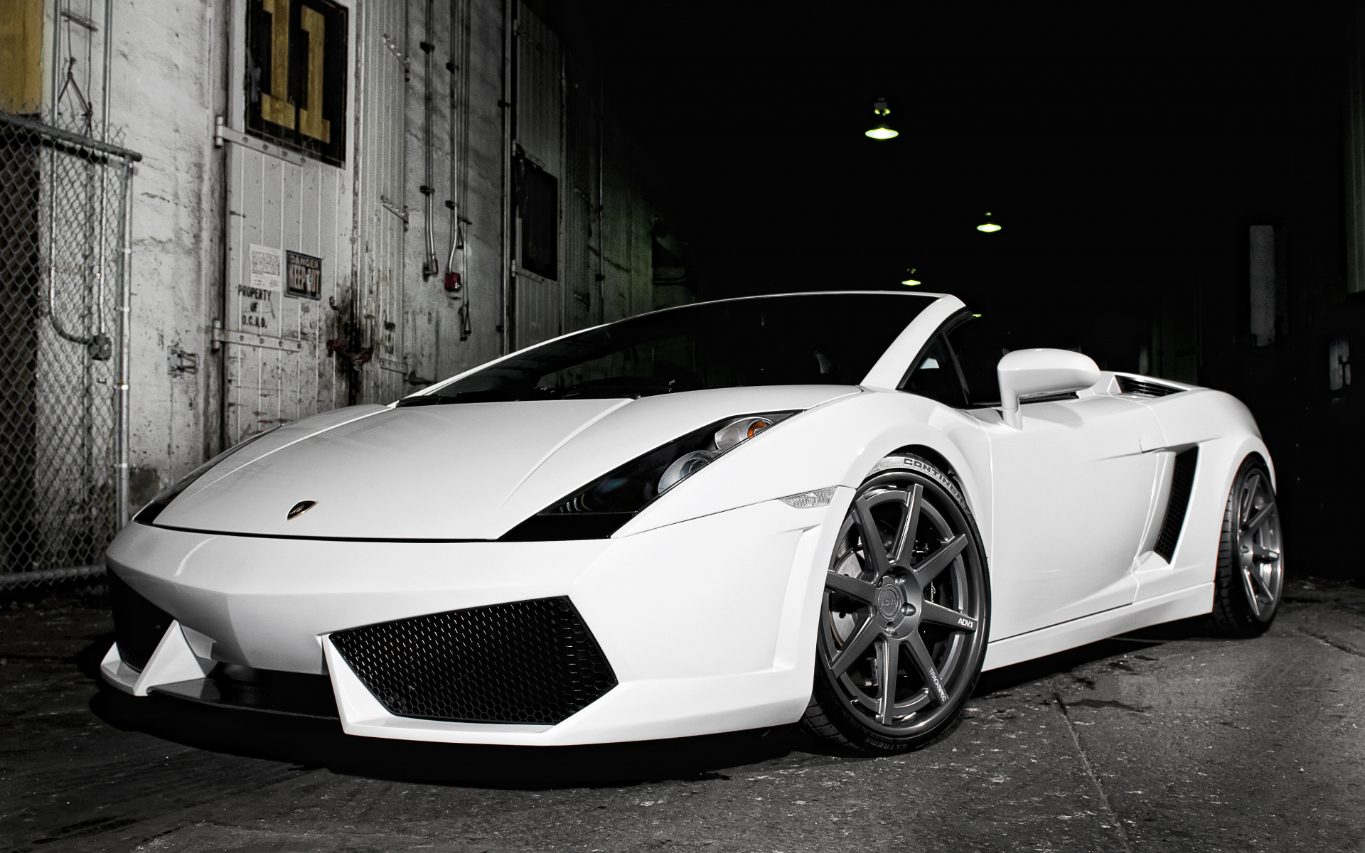 ламборджини, галардо, родстер, gallardo, lamborghini, white, белый