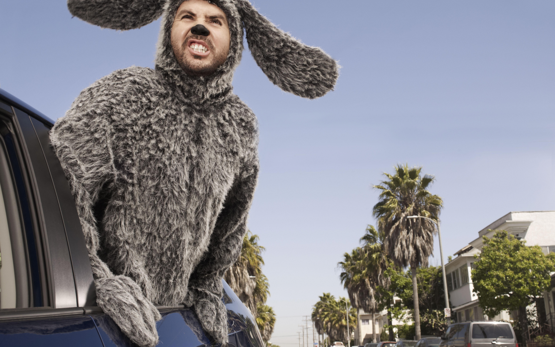 wilfred, сериал, уилфред