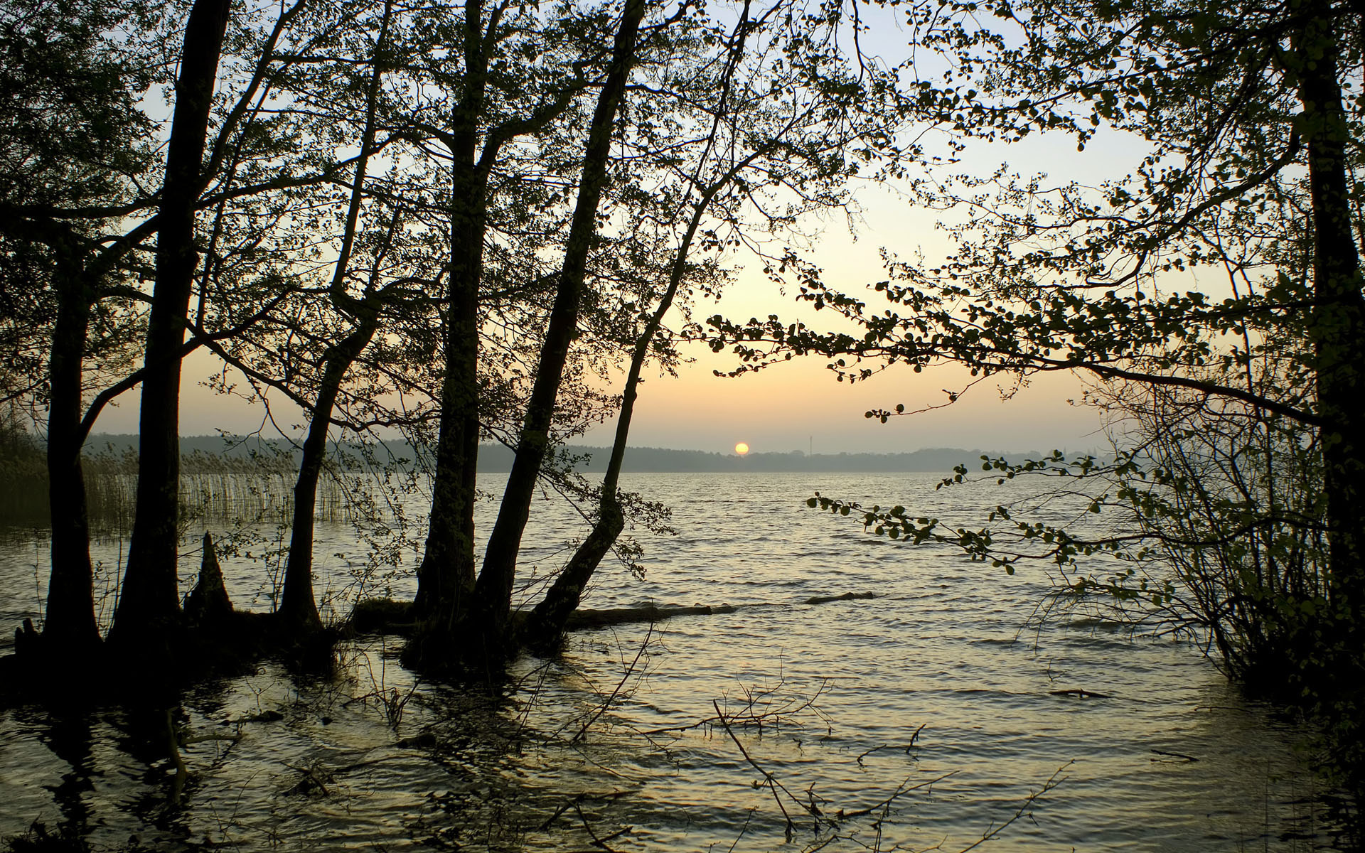 деревья, солнце, водоём, горизонт, минорно, закат, ветки, вода