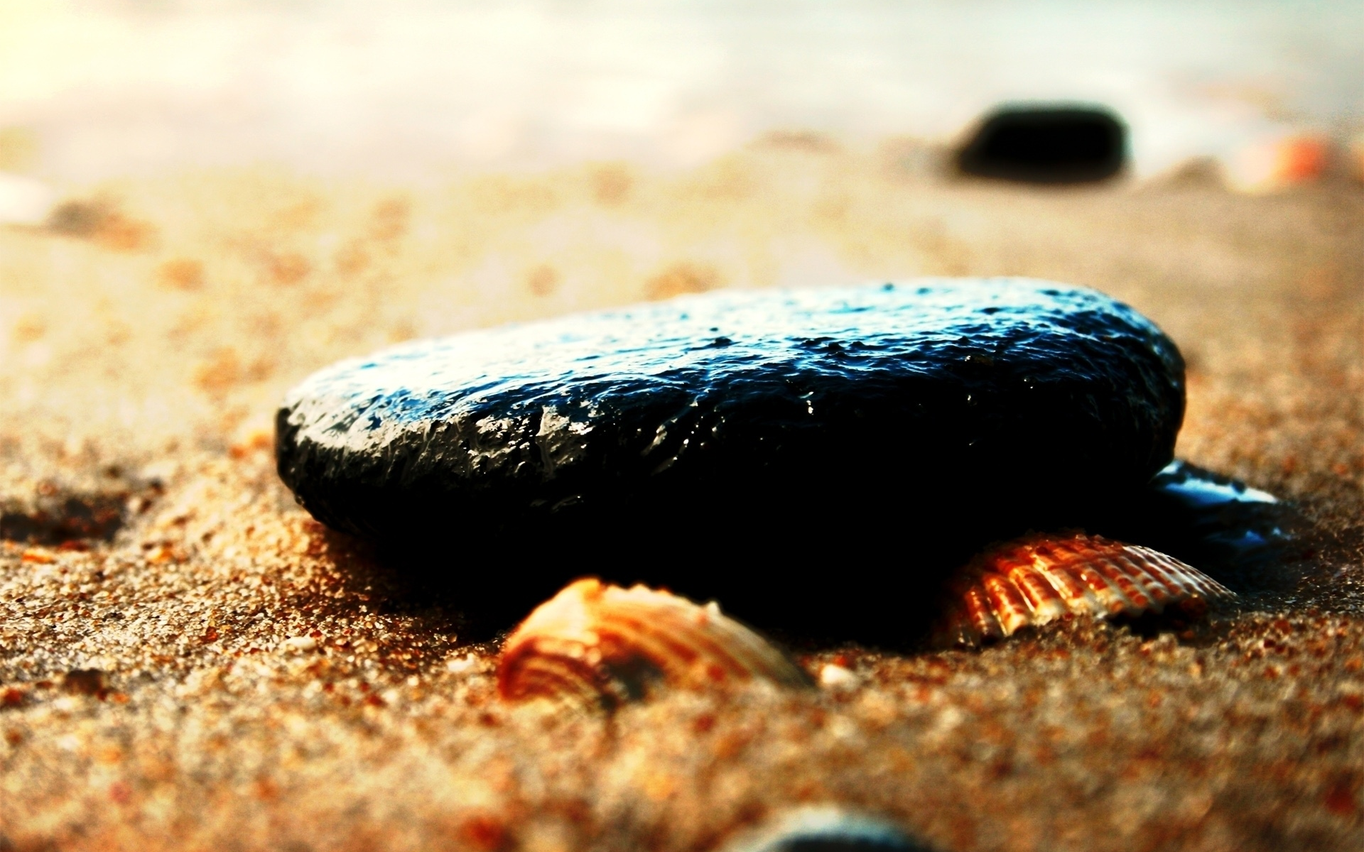 морская тематика, макро, песок, ракушки, камни, галька, пляж