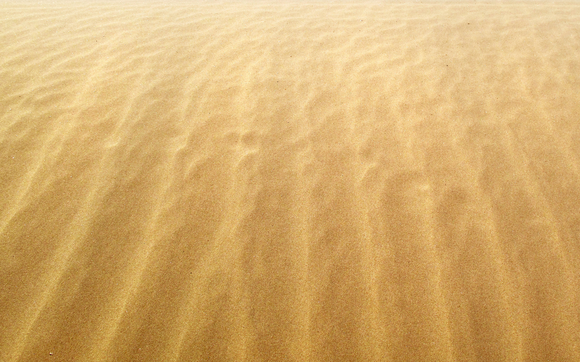 берег, макро обои, ветер, желтые, побережье, песчинки, пески, песчинка, песок, желтые, пляжи