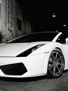 ламборджини, галардо, родстер, gallardo, lamborghini, white, белый