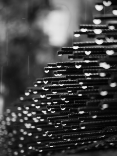 дождь, фото, черно-белое, арматура, капли, металлическая
