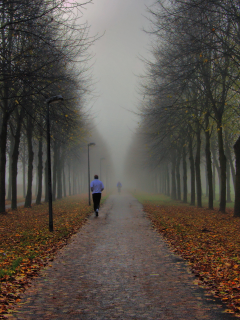парк, осень, фонари, люди, туман, утро, пробежка