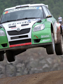 skoda fabia s2000, german car scene, intercontinental rally challenge, skoda - azores rally 2010