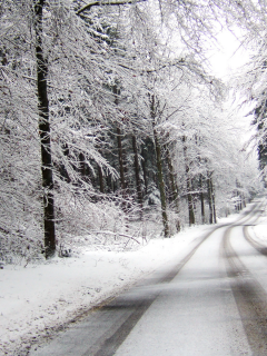 дорога, снег, пасмурно, лес, зима, вдаль, поворот