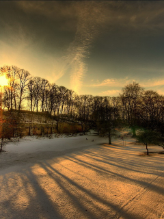 зима, лучи, солнце, парк, снег, деревья