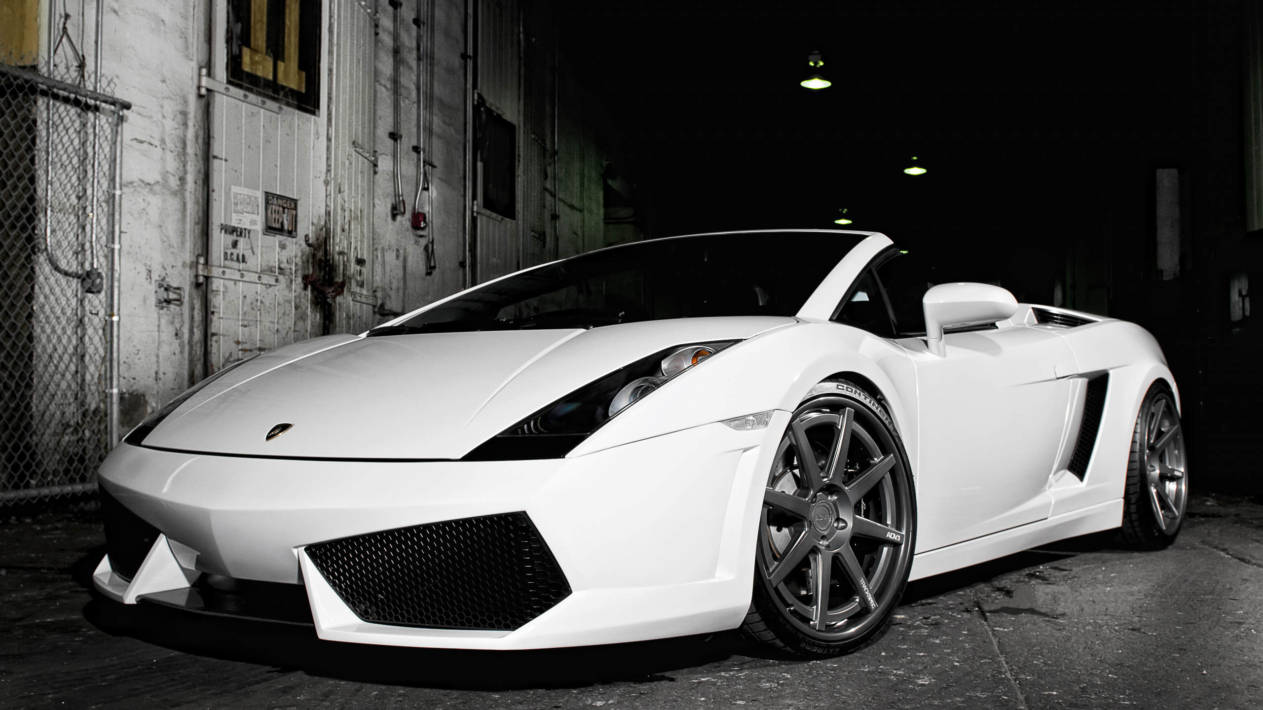 ламборджини, галардо, родстер, gallardo, lamborghini, white, белый