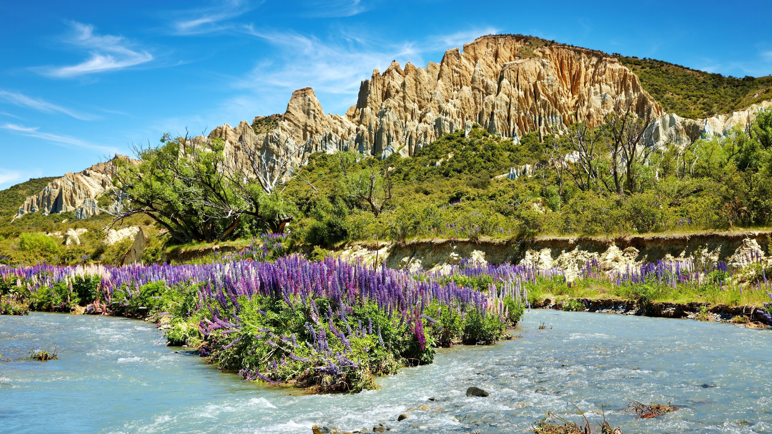 природа, река, горы, лаванда, highlands lavender, небо, деревья, скалистые, цветение, голубое