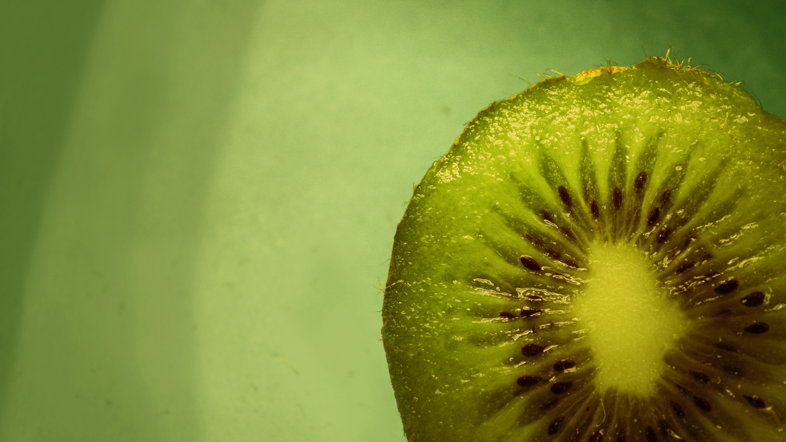 фрукт, macro, киви, зеленый фон, kiwi, макро, еда