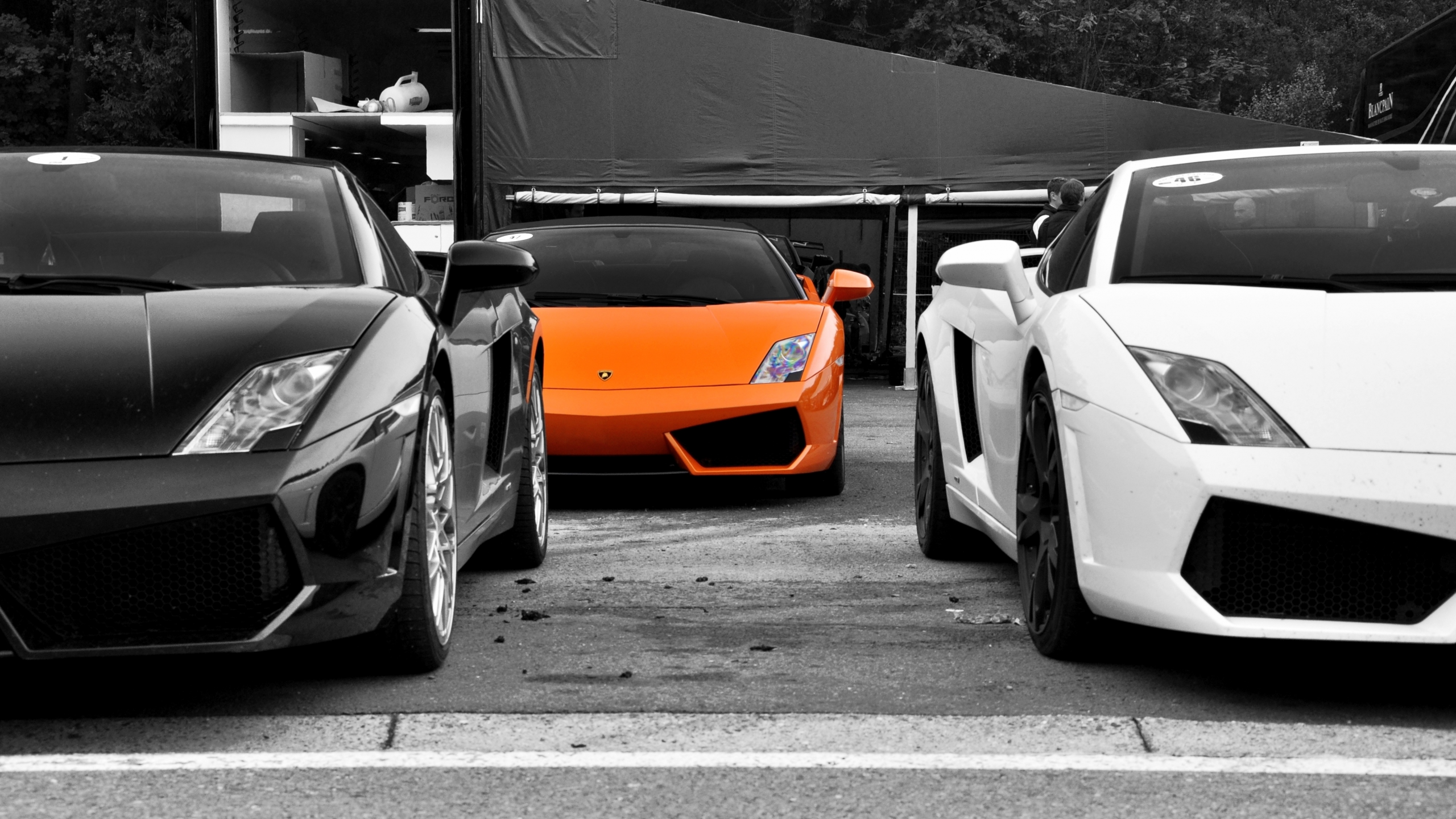 orange, lamborghini gallardo, wallper, чб, cars, обои авто, авто, cars wall, auto, wallpapers, фото