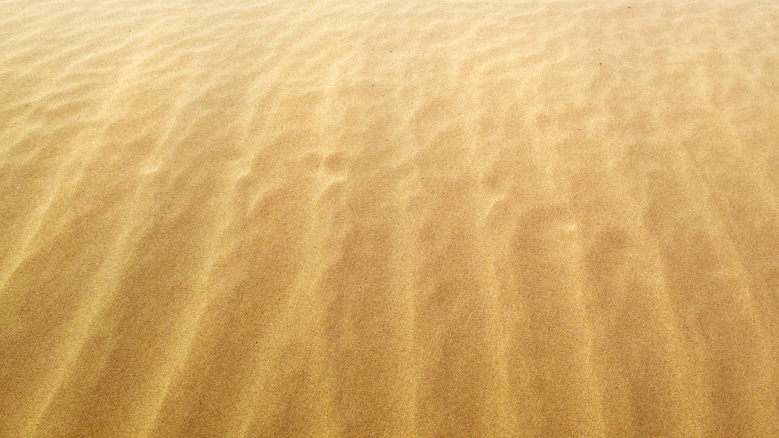 берег, макро обои, ветер, желтые, побережье, песчинки, пески, песчинка, песок, желтые, пляжи