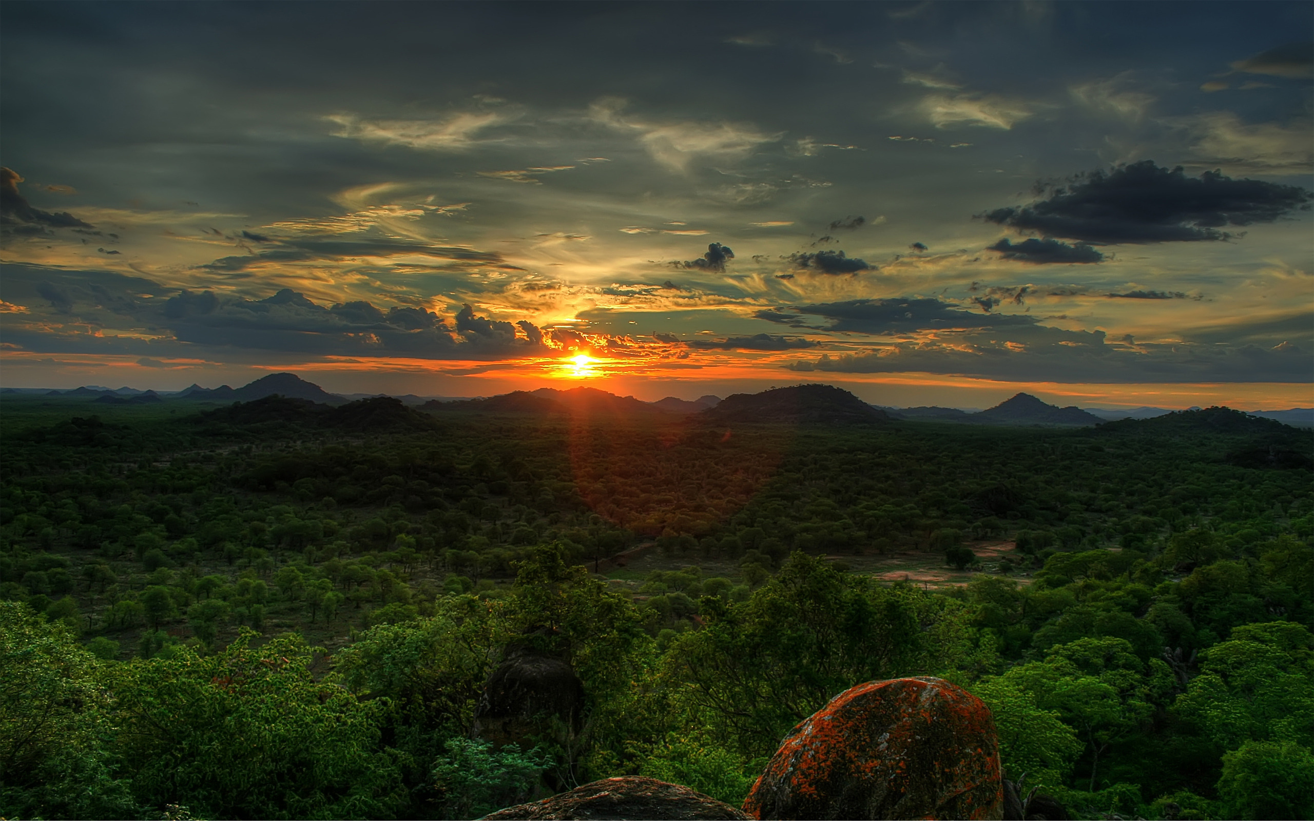 zimbabwe, african sunset, trees, закат, the sun, лес, sunset, sky