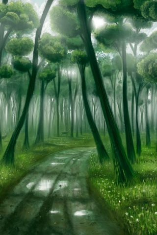 лес, deep forest, свет