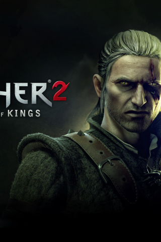 the witcher 2, геральт, убийцы королей, ведьмак 2, assassins of kings