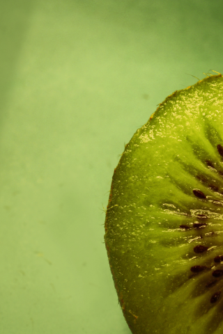 фрукт, macro, киви, зеленый фон, kiwi, макро, еда