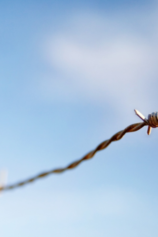 sky, focus, 2560x1600, macro, фокус, небо, колючая проволока, barbed wire, макро