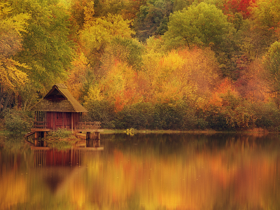 озеро, осень, деревья