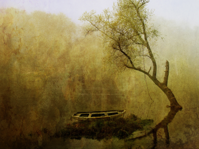 дерево, лодка, картина, туман, вода