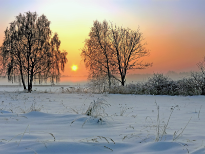 природа, восход, зима, солнце