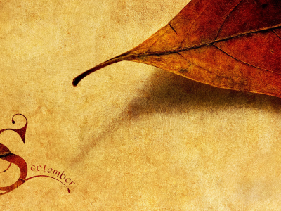 текстура, настроение, сентябрь, месяц, надпись, опавшие листья, осень