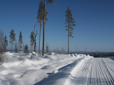 блеск, снег, зима, дорога, мороз